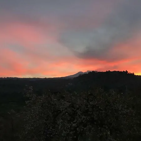 Holiday home Mandorlo Dell'etna, Casa Siciliana
